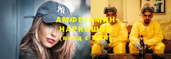 метадон Ельня