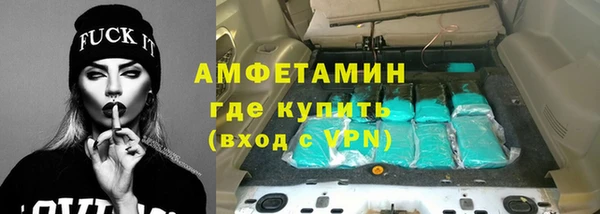 гидра Елизово