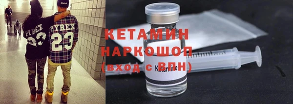 гидра Елизово