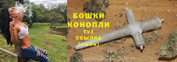 бошки Елабуга