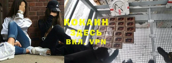 гидра Елизово