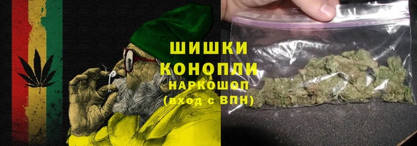 метадон Ельня
