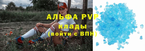 гидра Елизово