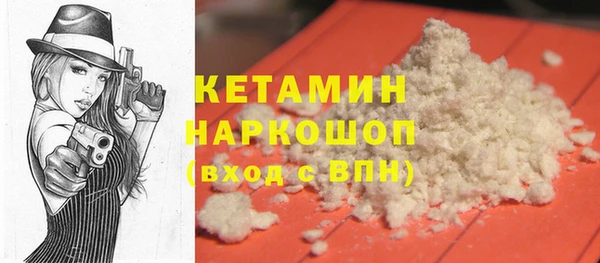 гидра Елизово