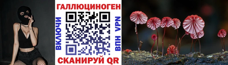купить наркотики сайты  Майкоп  Псилоцибиновые грибы Cubensis 
